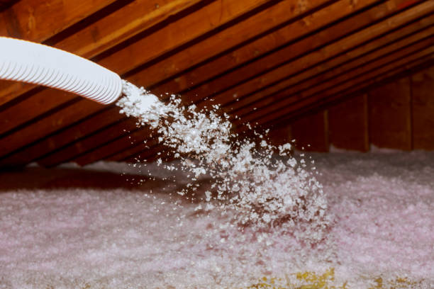 Best Best Insulation Companies  in Taylor, PA