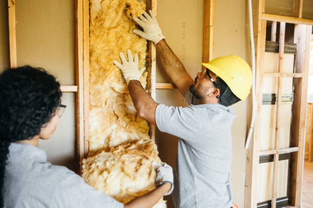 Best Cellulose Insulation  in Taylor, PA
