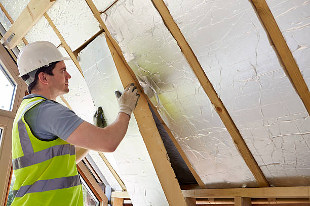 Best Insulation Replacement Services  in Taylor, PA
