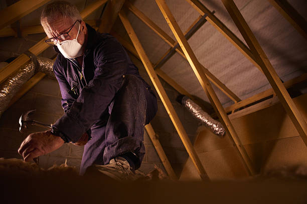 Best Home Insulation Services  in Taylor, PA